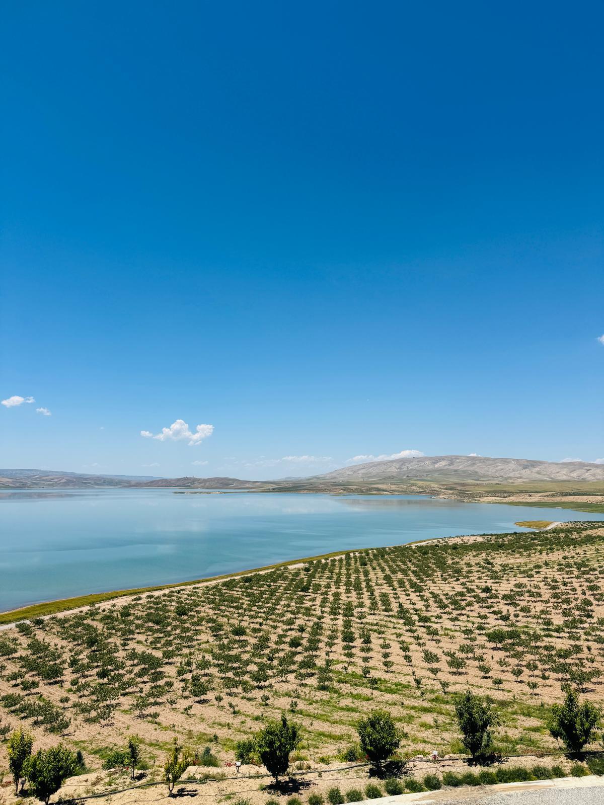 Siirt ve Batmandaki bazı bahçelere teknik gezi düzenlendi. 