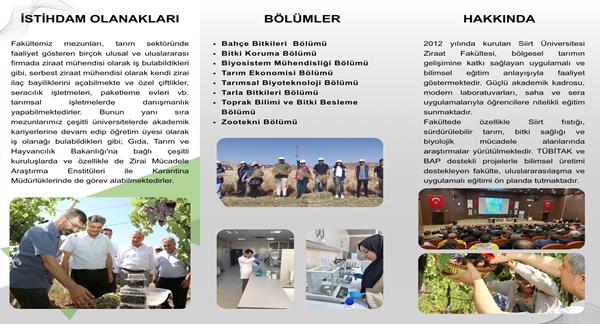 Broşür